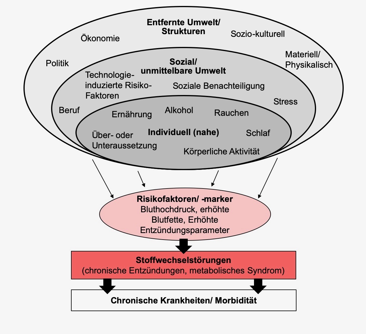 Verhalten und Gesundheit - Wie Ernährung, Sport und Co. deine Gesundheit beeinflussen | H4bits